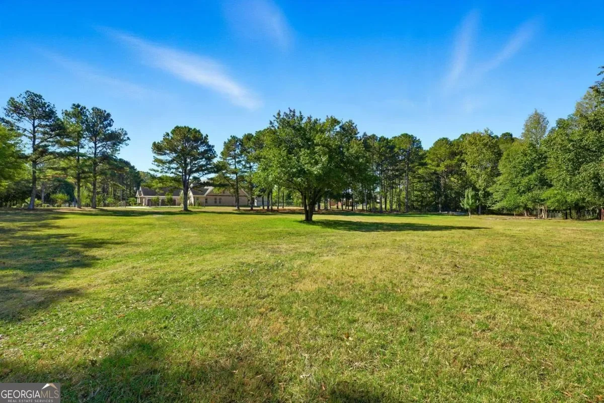 Hampton, Georgia, United States. - Photo 48