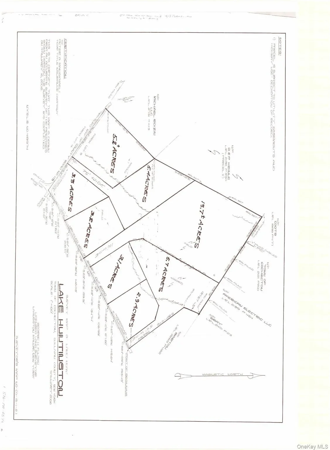 Gallery photo 5