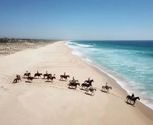 Rua dos Pinhais, 7580 Comporta, Portugal, Comporta, Setubal, Portugal. - Photo 32