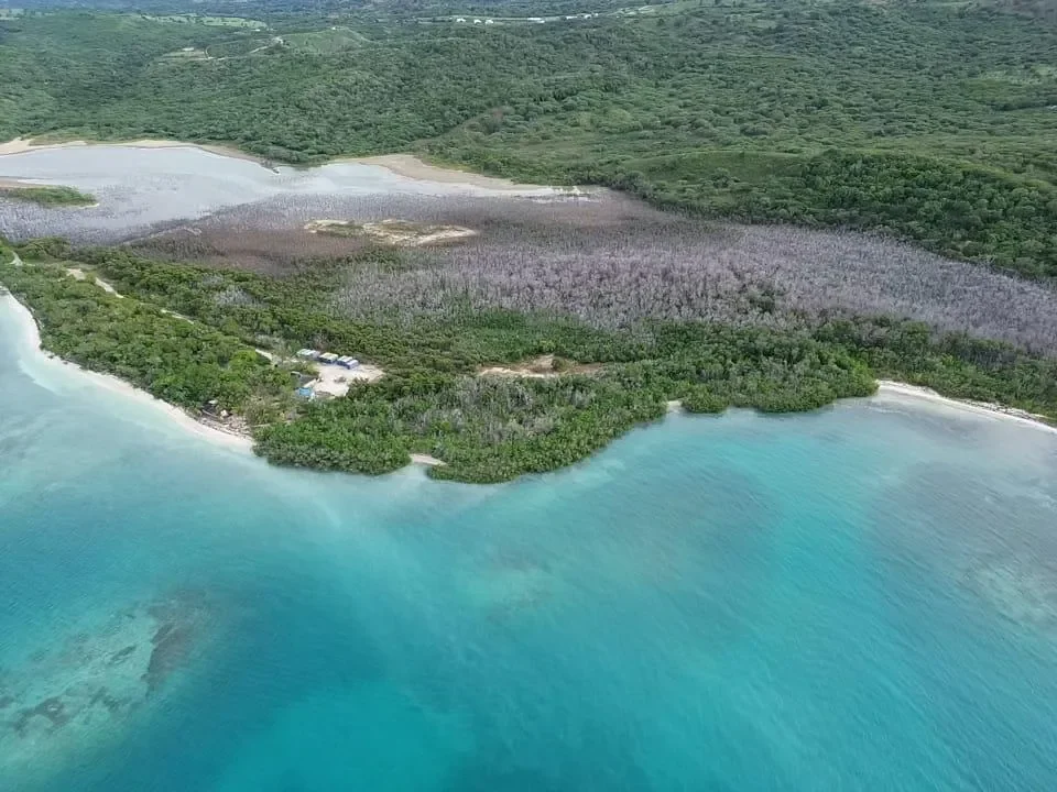 Punta Rucia, Dominican Republic, Punta Rucia, Puerto Plata Province, Dominican Republic. - Photo 2