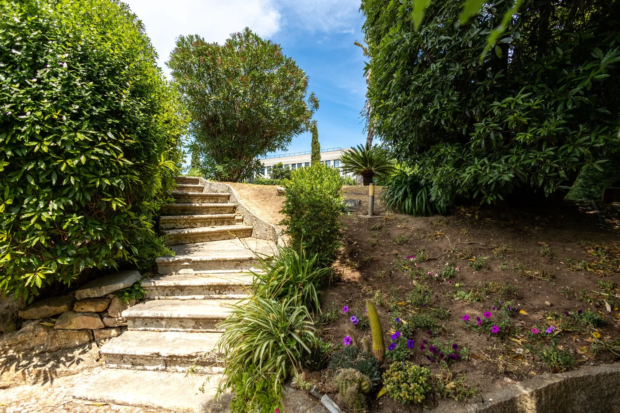 2765 Estoril, Portugal, Estoril, Cascais e Estoril, Lisbon. - Photo 23