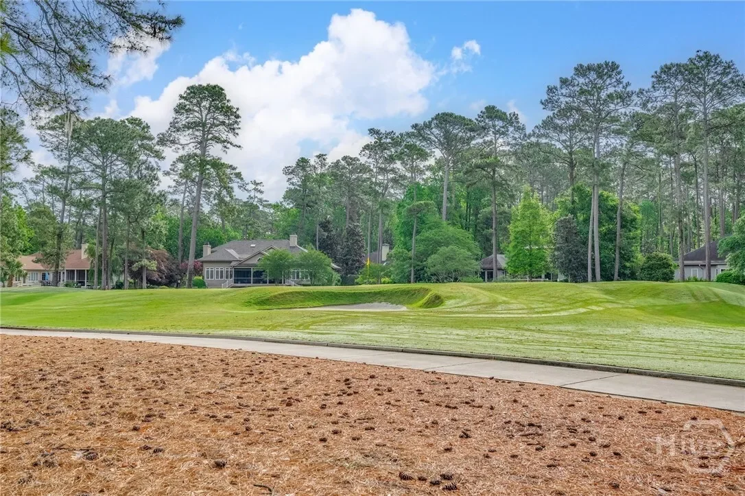 5 Sparkleberry Lane, Savannah, Georgia, United States. - Photo 30