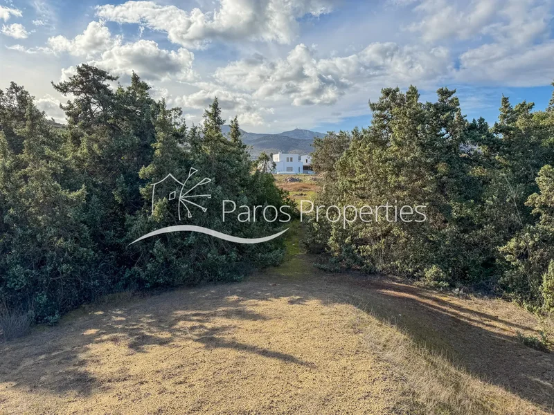 Rare Beachfront Land Parcel with Cedar Forest & Villa Permit