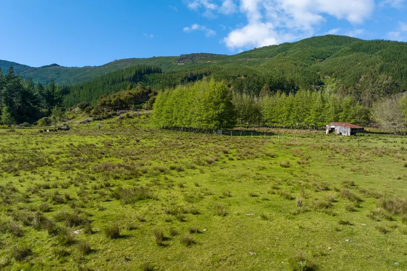 1025 Wakamarina Road, Wakamarina, MBH 7178, Wakamarina, Marlborough, New Zealand. - Photo 8
