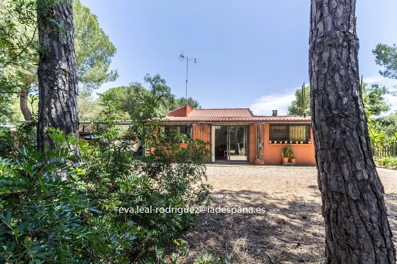 Andalusia, Lepe, Andalusia, Spain. - Photo 35