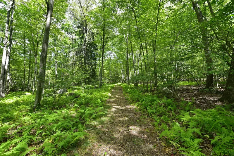 16 Pilfershire Road, Eastford, Connecticut, United States. - Photo 35
