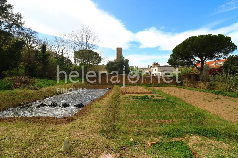 LLAGOSTERA, GIRONA, LLAGOSTERA, Llagostera, Catalonia, Spain. - Photo 2