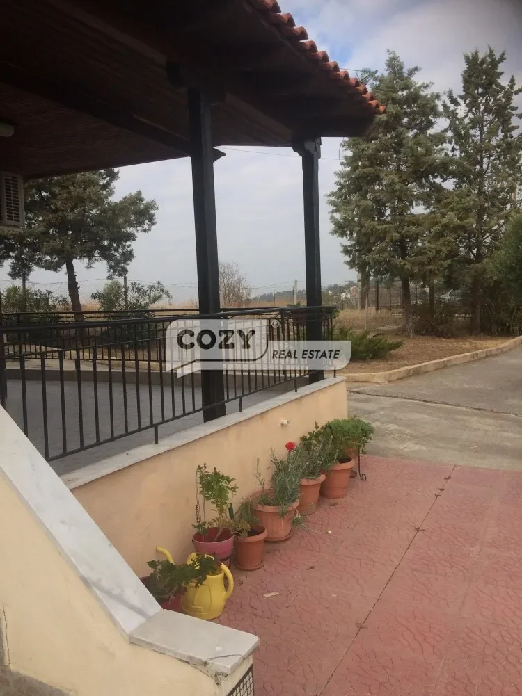Exterior photo 8