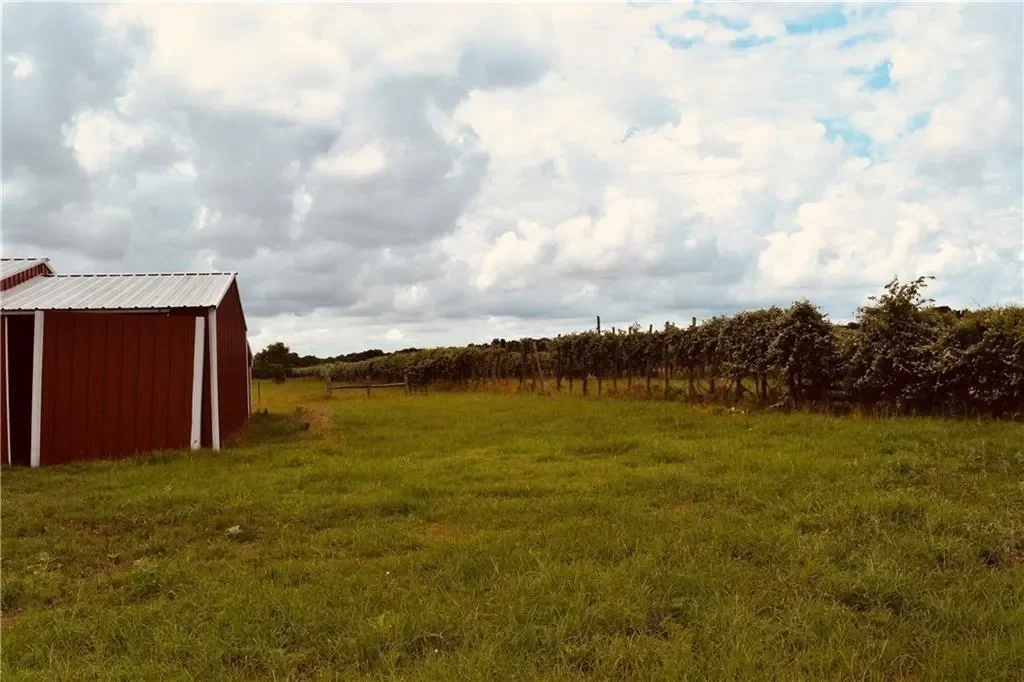 1409 Antioch RD, Paige, Texas, United States. - Photo 14