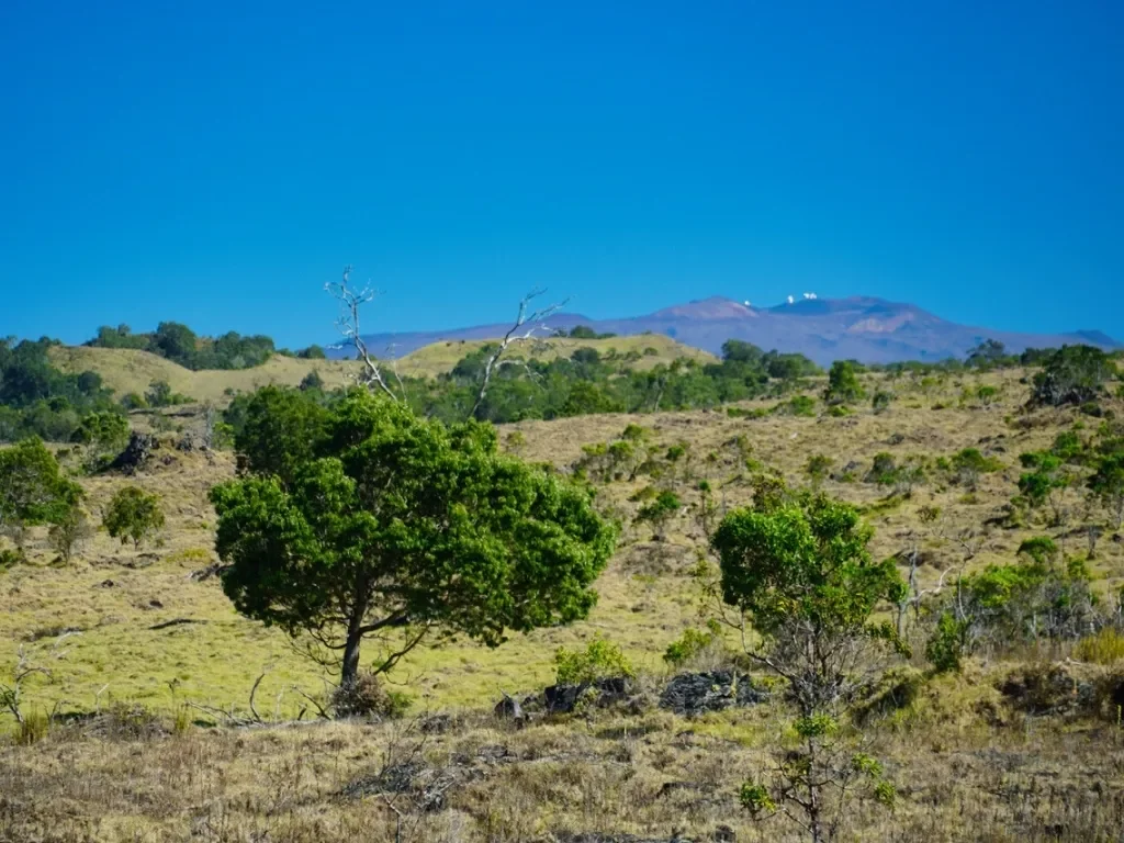 15-A #Hokukano Lot 15A, Kealakekua, HI 96725, Captain Cook, Hawaii, United States. - Photo 13