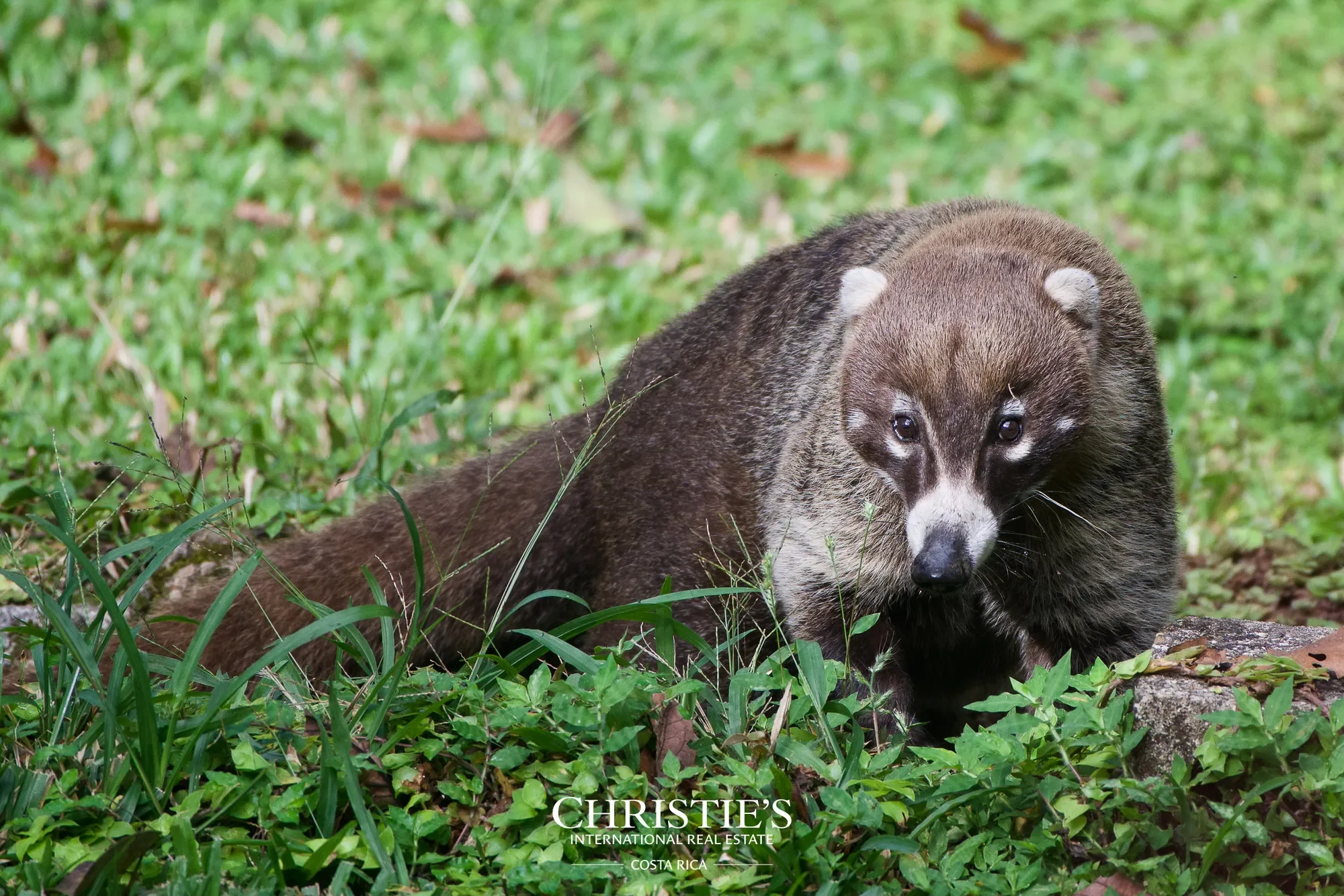 X96M+7F3, Guanacaste Province, Nicoya, Costa Rica, Nicoya, Guanacaste Province, Costa Rica. - Photo 14