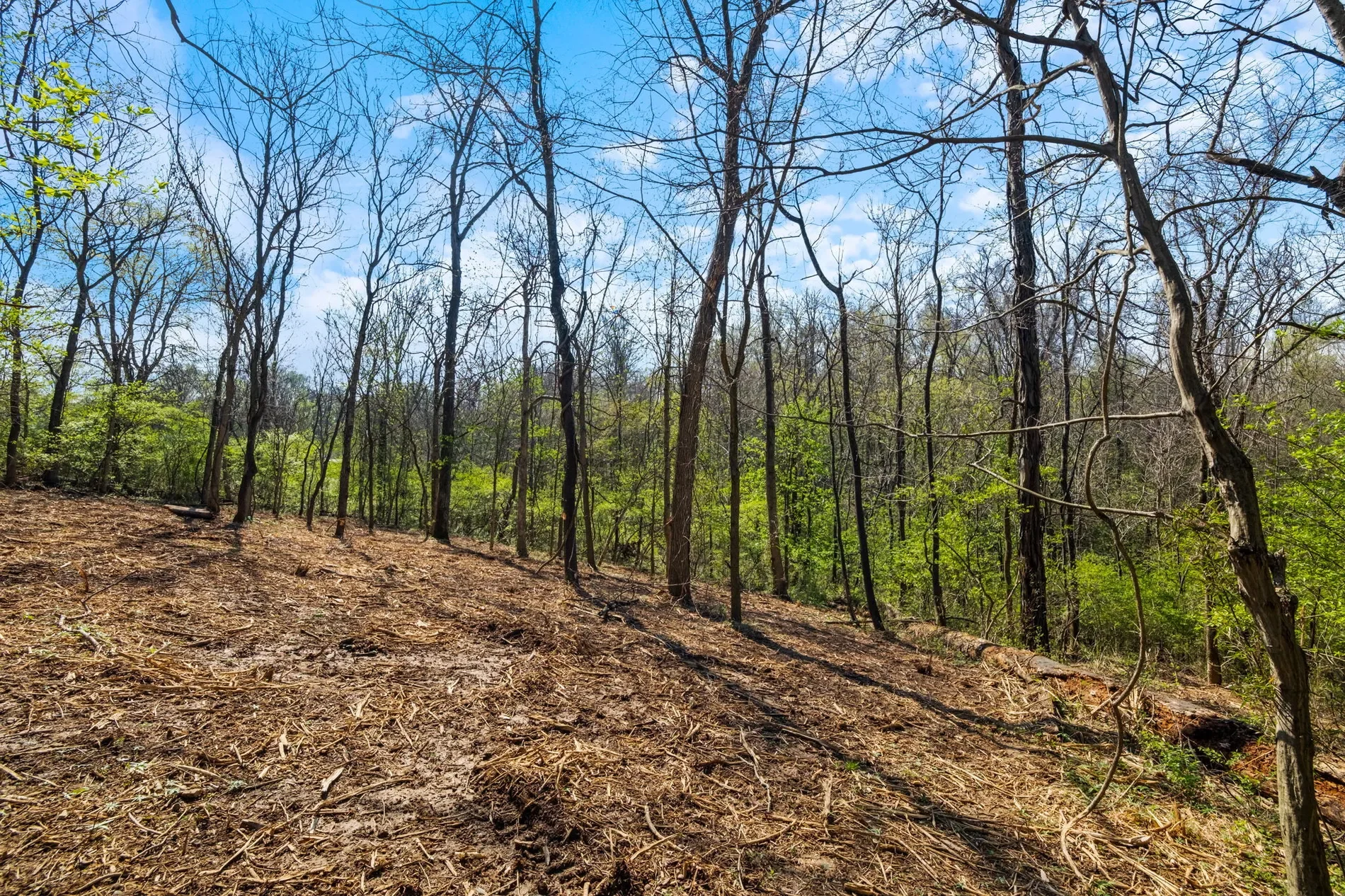 5001 Glengregor Road , Glenview, KY 40025, Glenview, Kentucky, United States. - Photo 7