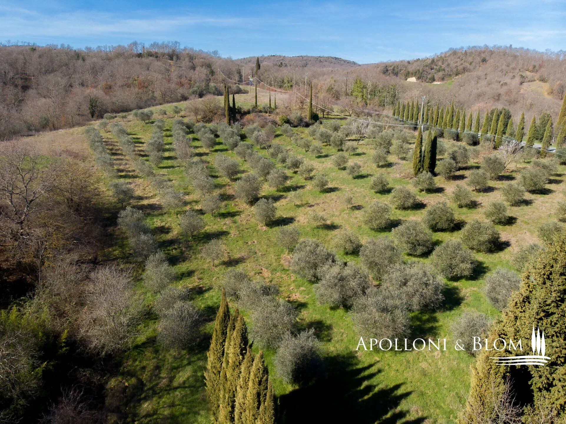 Strada Provinciale 14, Poggi Gialli, Tuscany, Italy. - Photo 42