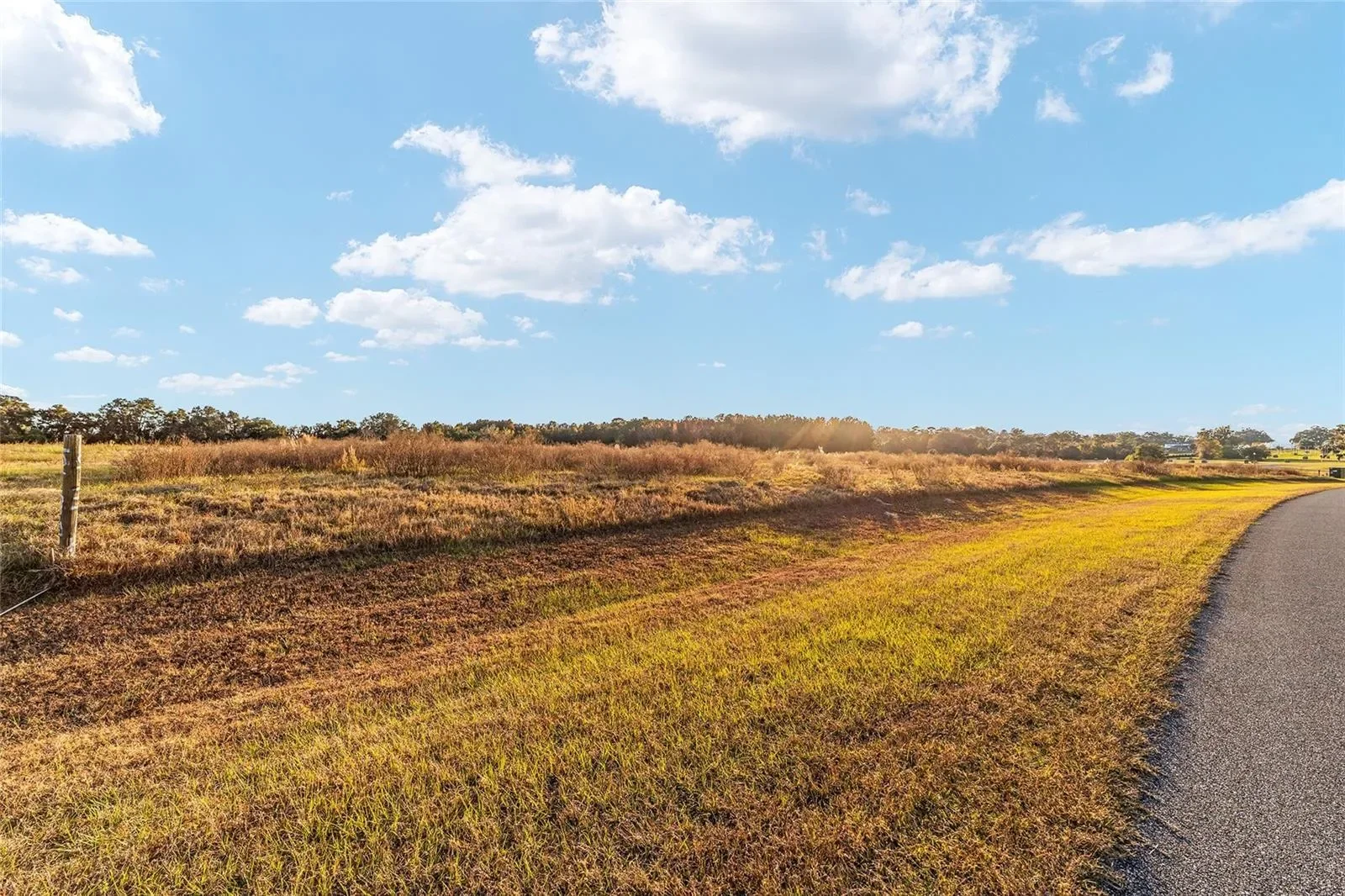 TBD SE 28TH TERRACE ROAD, Belleview, Florida, United States. - Photo 5
