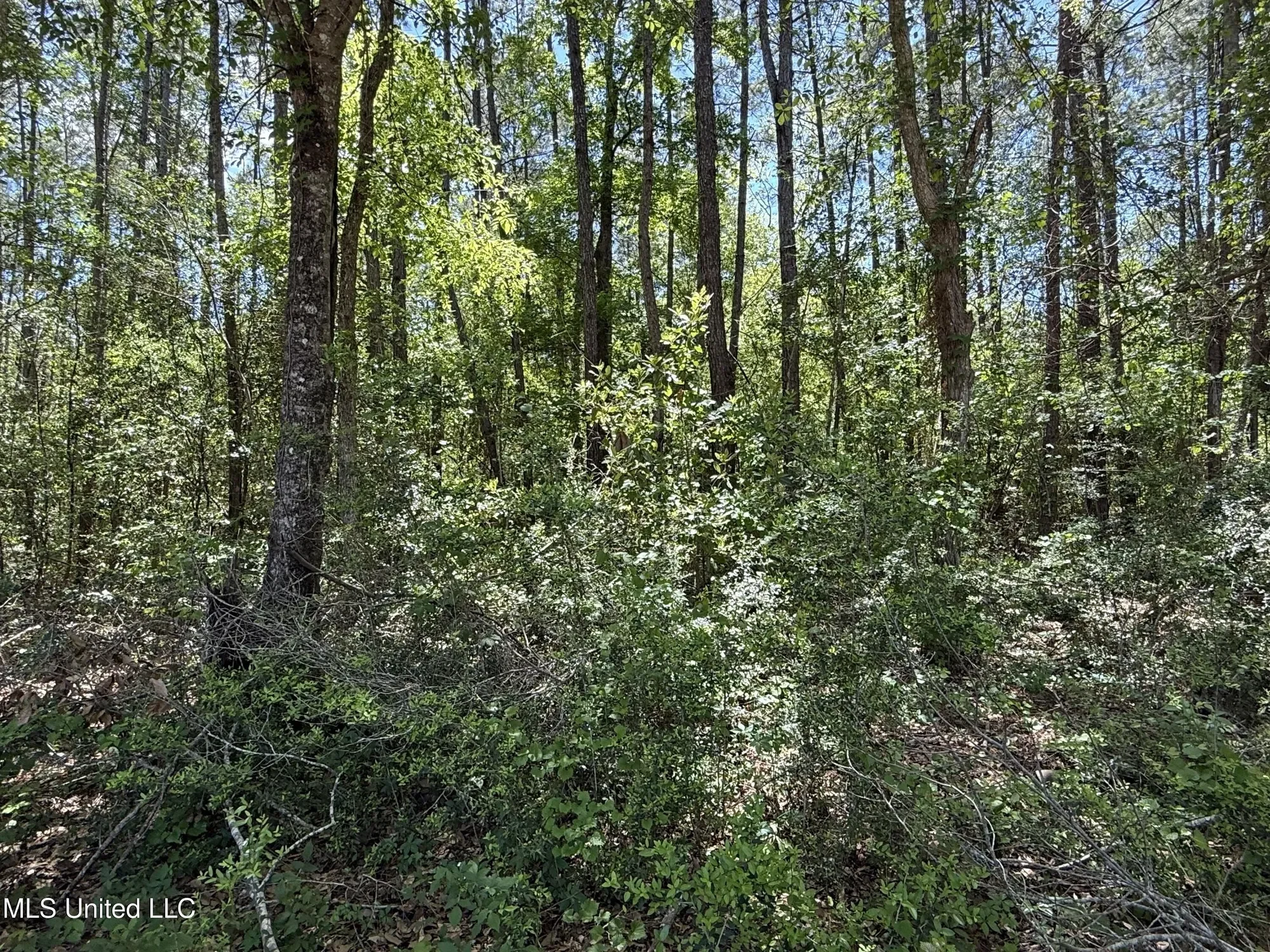 7701 Bienville Boulevard lot: 90 90, Ocean Springs, MS 39564, Ocean Springs, Mississippi, United States. - Photo 15