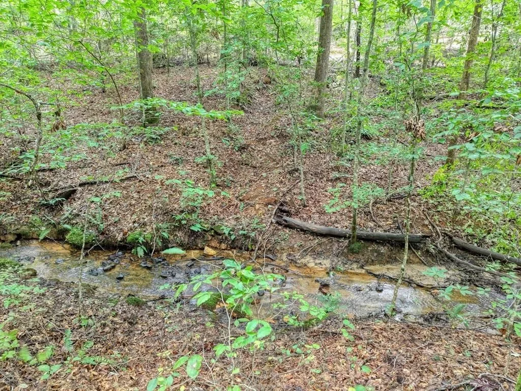 2479 Plum Orchard Road, Clayton, Georgia, United States. - Photo 36