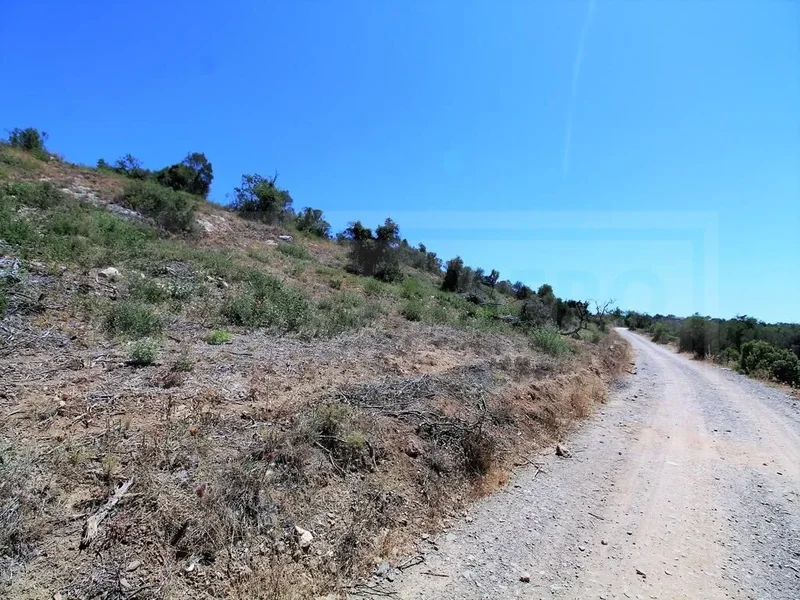 Algoz e Tunes, Algarve, Portugal. - Photo 3