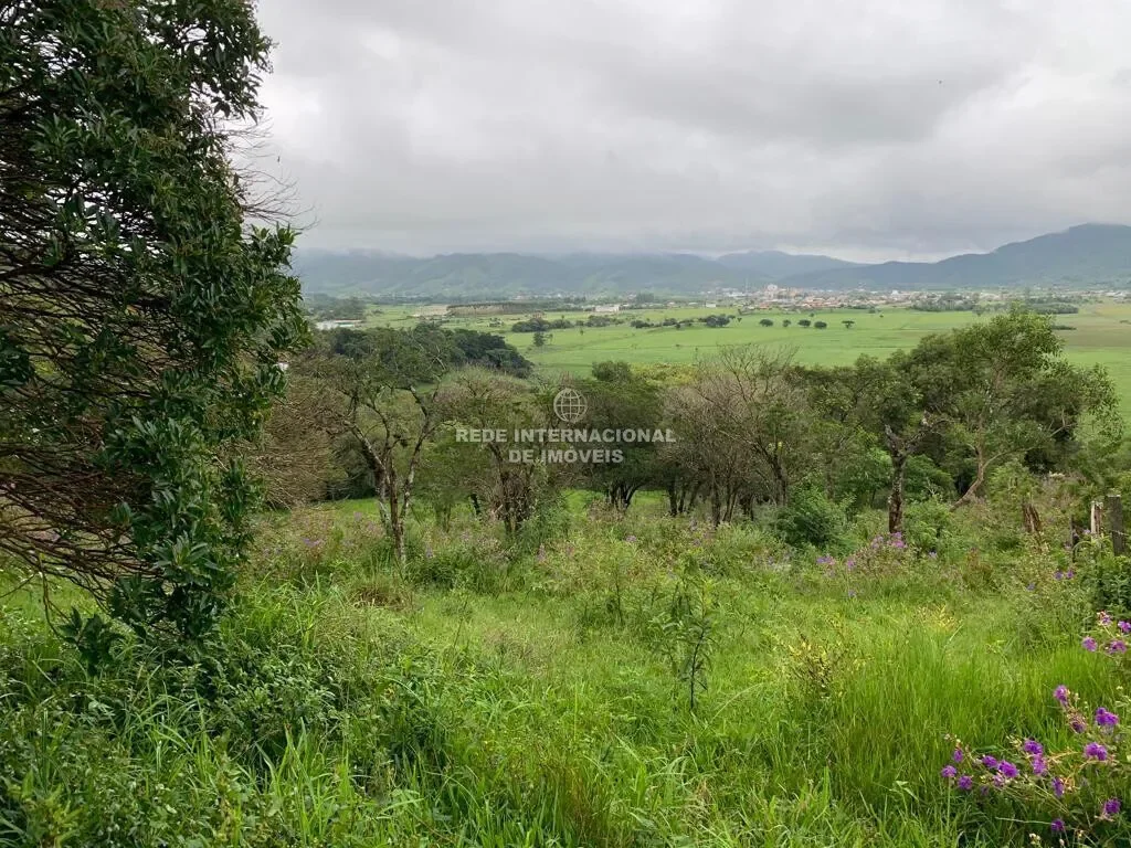 Garopaba, State of Santa Catarina, Brazil. - Photo 28