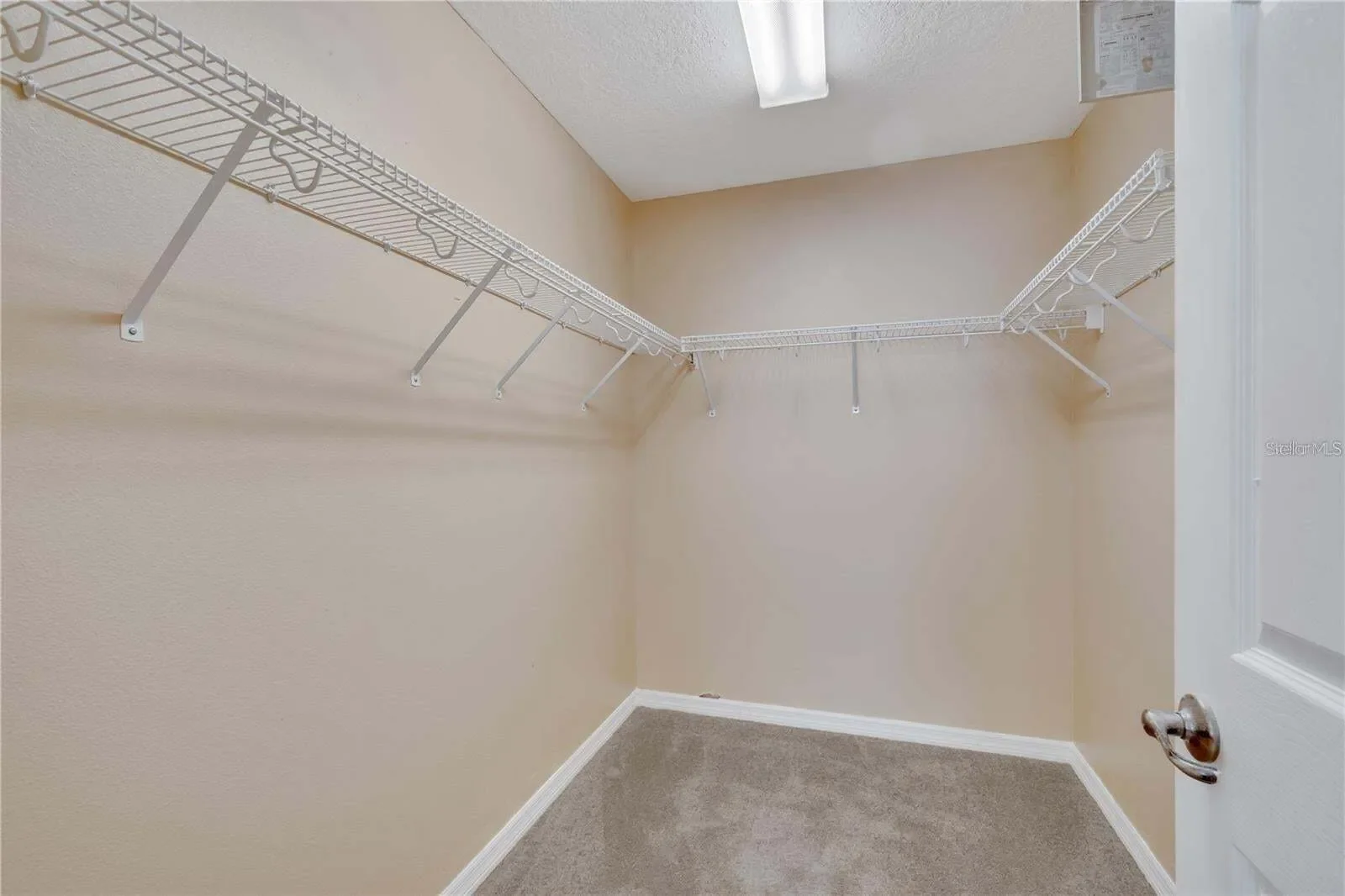 Gallery photo 6