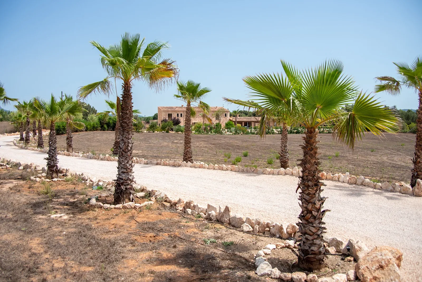 Llucmajor, Mallorca, Llucmajor, Llucmajor, Balearic Islands, Spain. - Photo 16