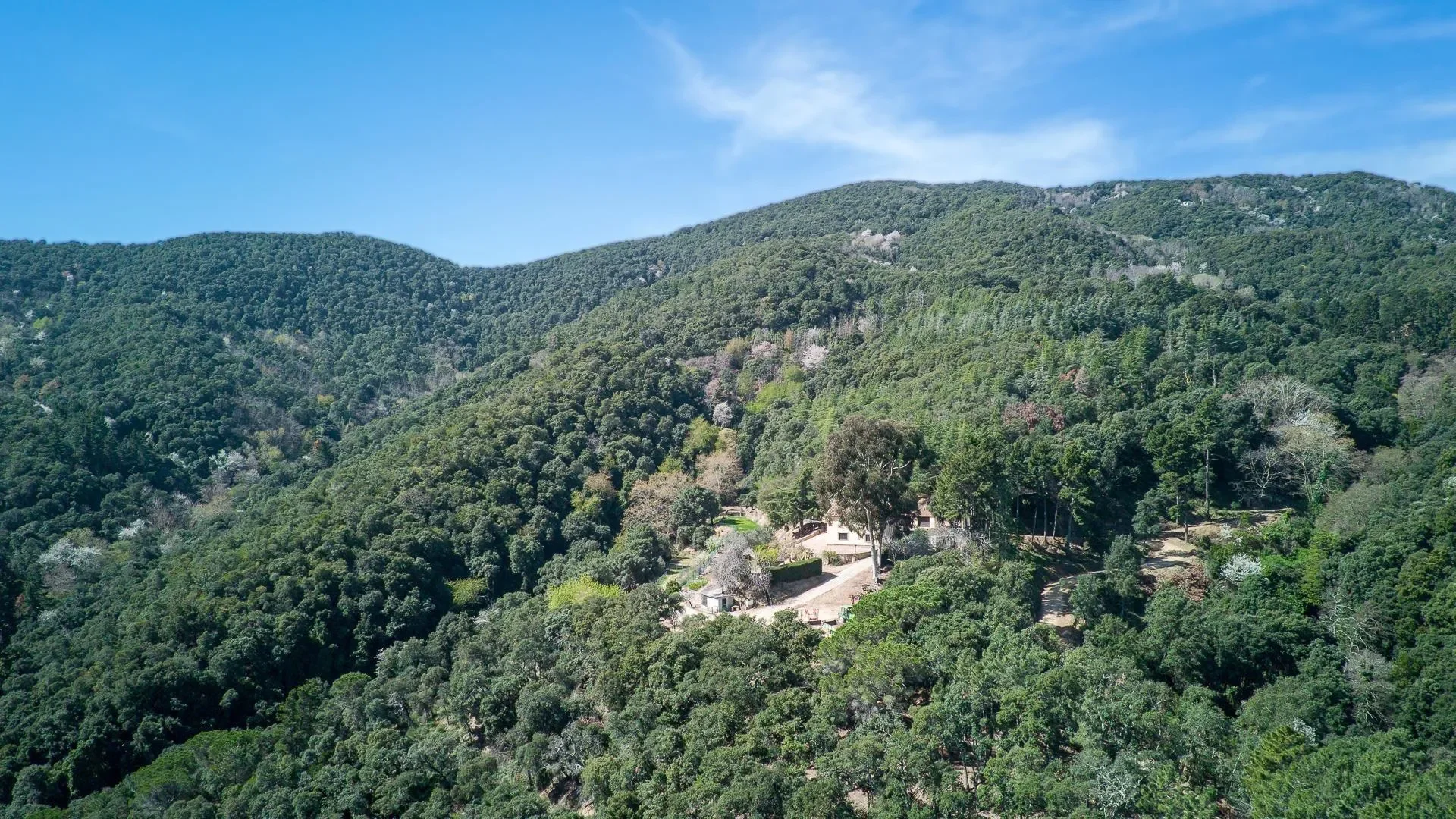 Hortsavinya, Tordera, BARCELONA, Tordera, Tordera, Catalonia, Spain. - Photo 40