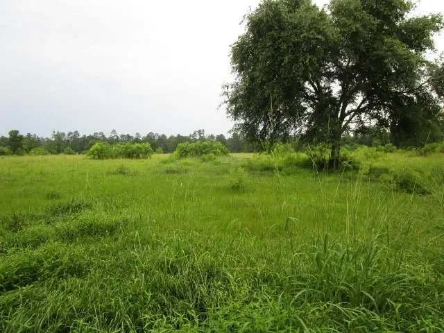 0 FIELDER Lane, Clayton, Georgia, United States. - Photo 5