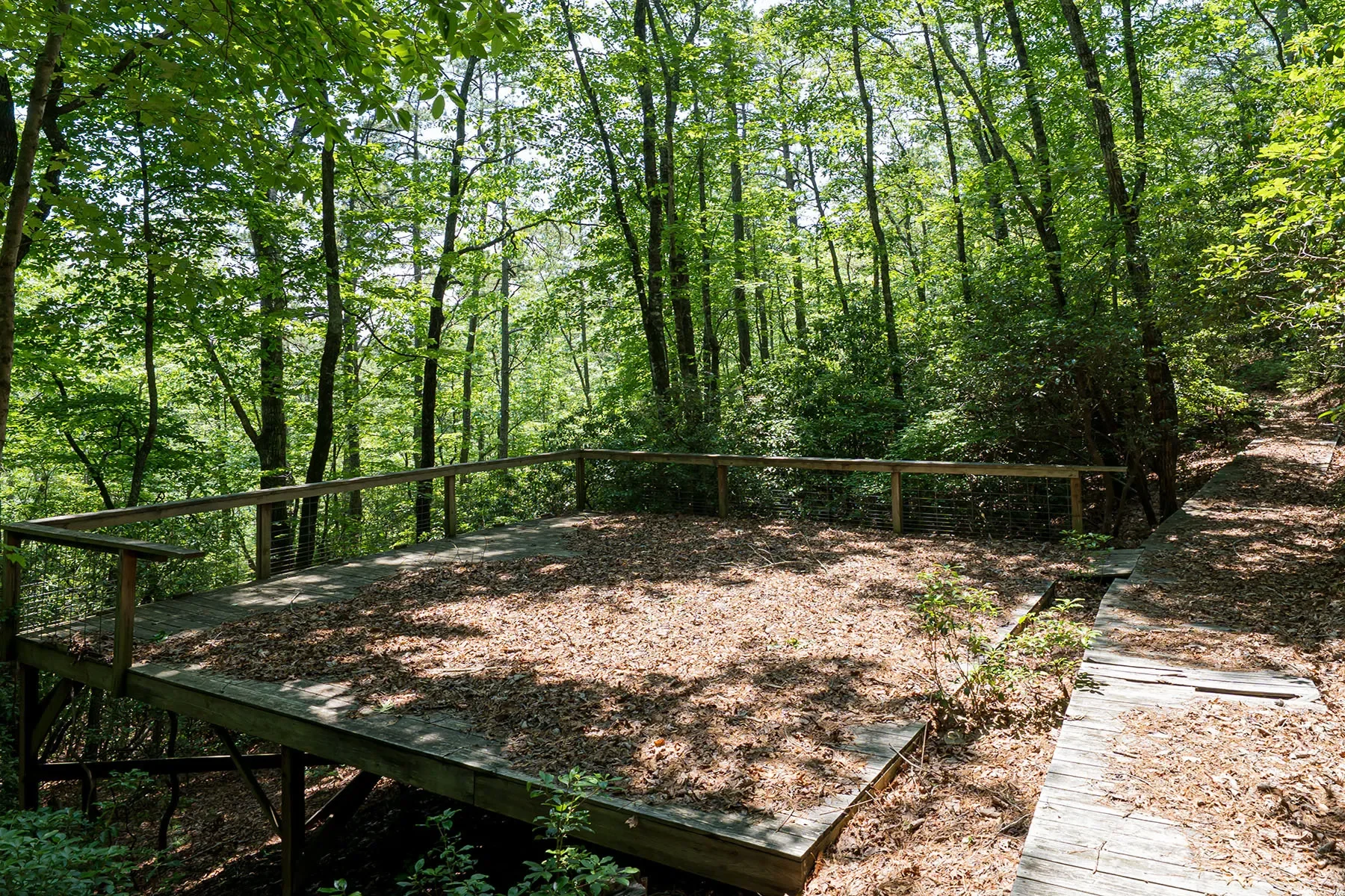 1000 Sutton Creek Road, Pisgah Forest, NC 28768, Mills River, North Carolina, United States. - Photo 8