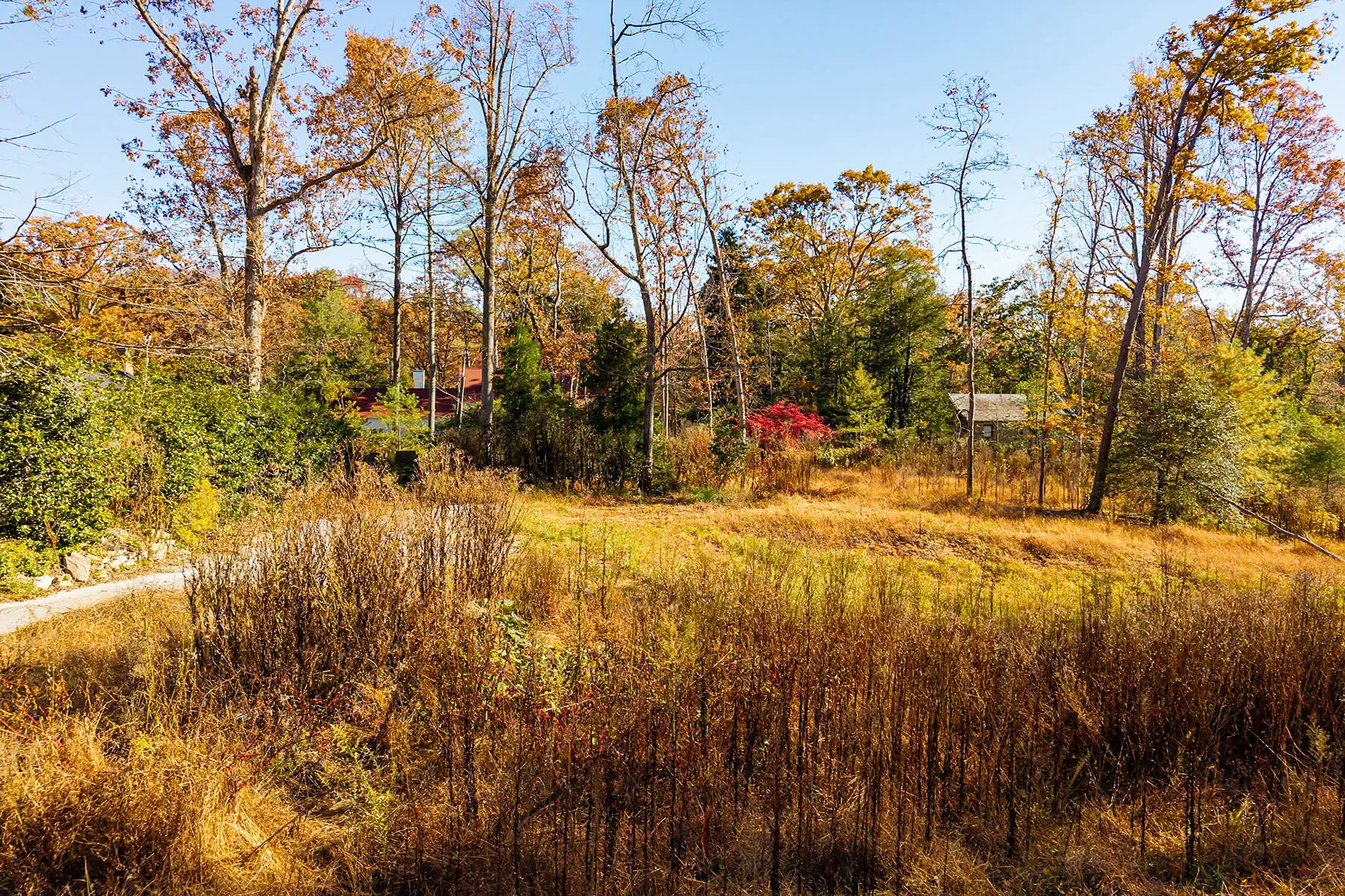 50 Forest Road, Asheville, NC 28803, Asheville, North Carolina, United States. - Photo 11