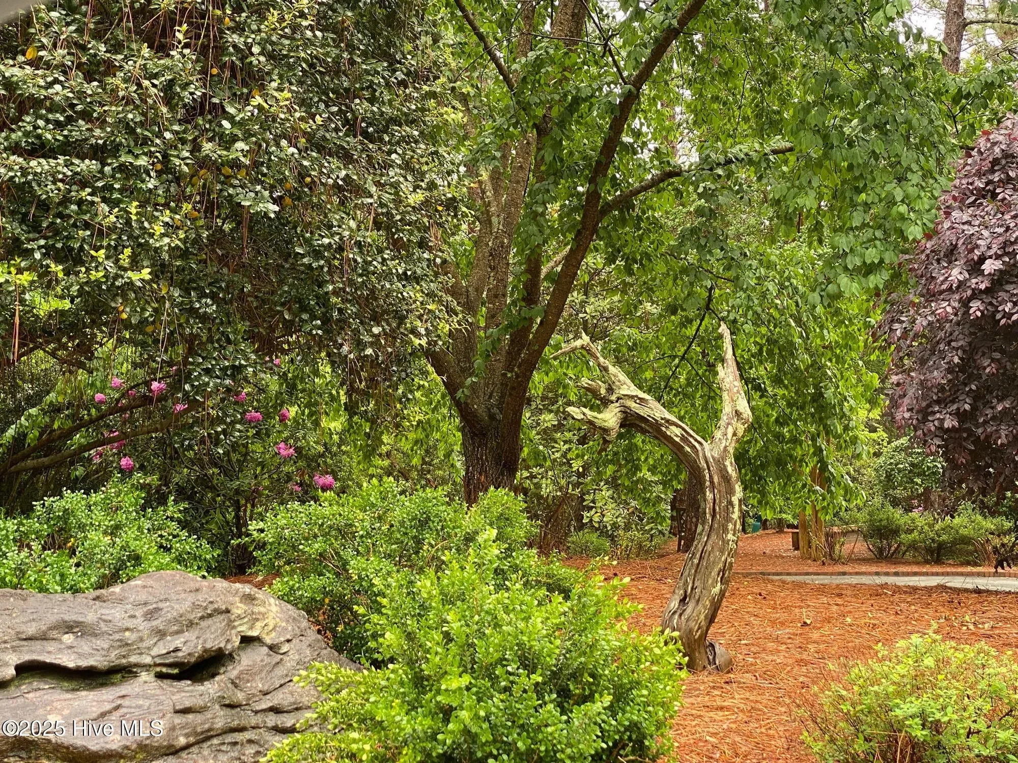 4 Augusta Way, Pinehurst, North Carolina, United States. - Photo 66
