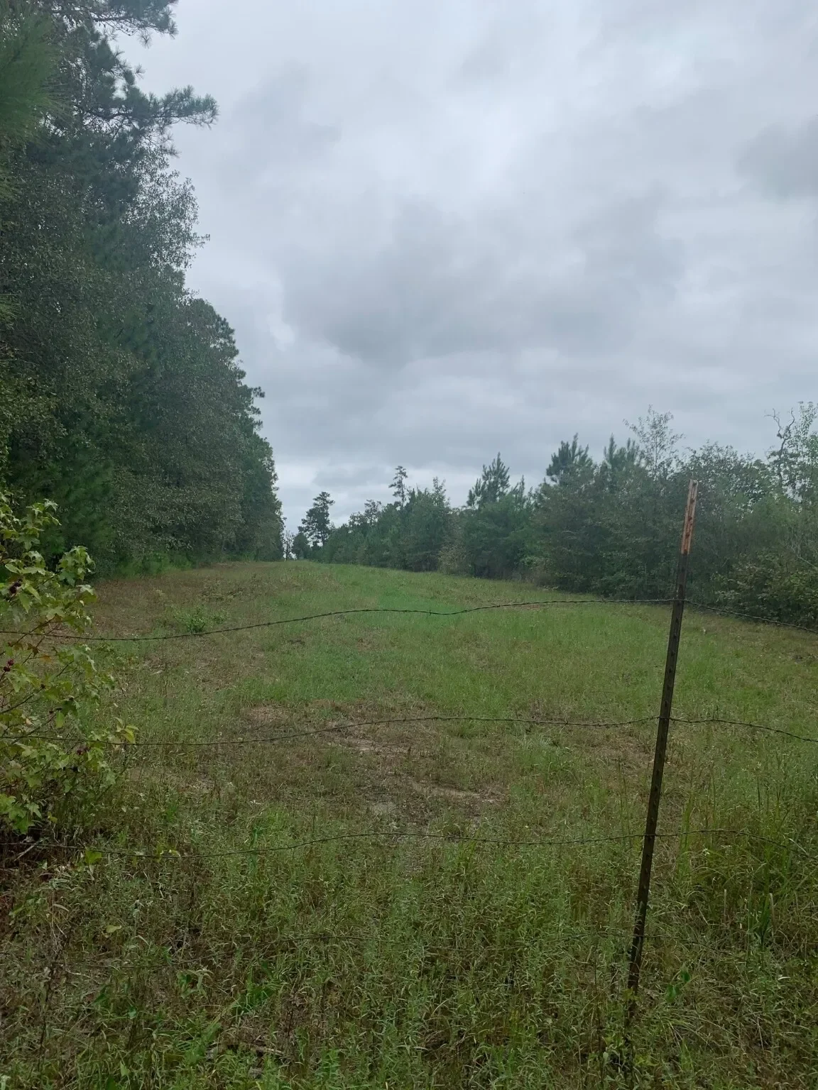 25572 Johnson Road, Montgomery, TX 77356, Montgomery, Texas, United States. - Photo 5