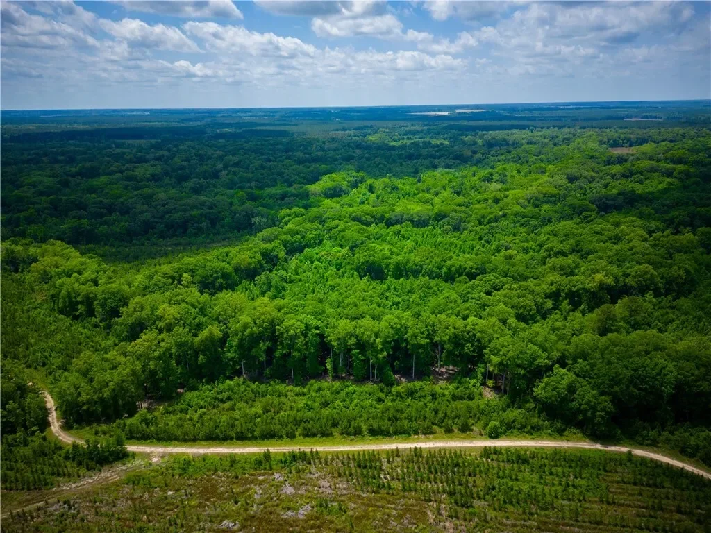 0 East River Road, Other, GA 31544, Jacksonville, Georgia, United States. - Photo 24