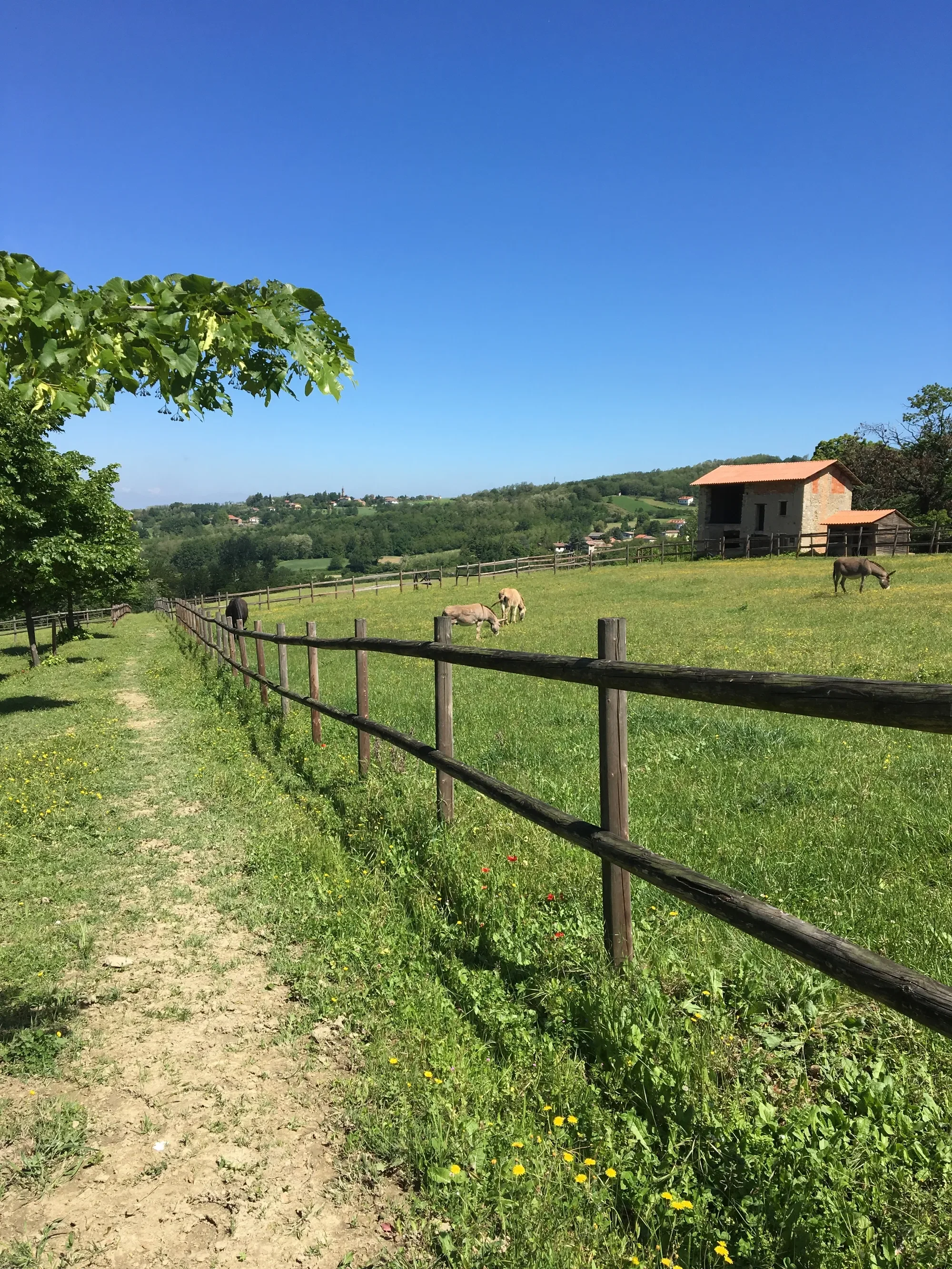 15051 Carezzano AL, Italy, Carezzano Superiore, Piedmont, Italy. - Photo 55