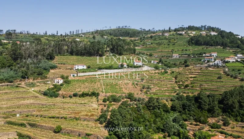 Vila Marim, VILA REAL, Vila Marim, Vila Real District, Portugal. - Photo 14