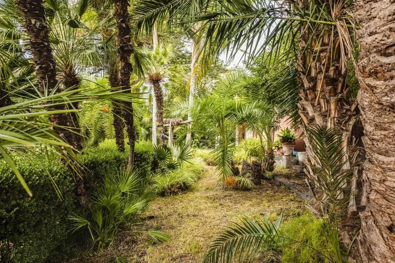 Via delle Acacie, Giarre, Sicily, Italy. - Photo 39