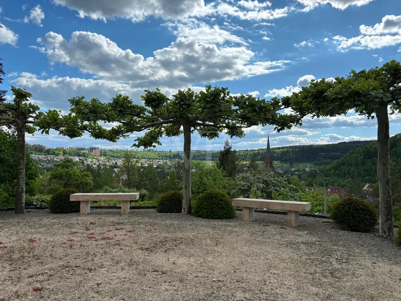 Nagold, Baden-Württemberg, Germany. - Photo 20
