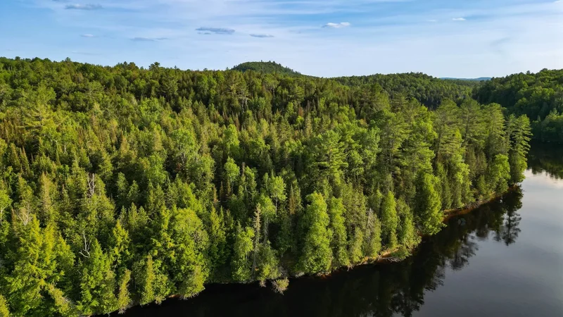 Ch. de la Chute, Mulligan Ferry, Quebec, Canada. - Photo 26
