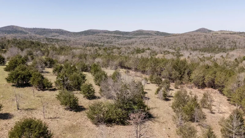 Tbd Pilot View Road, Shell Knob, MO 65747, Shell Knob, Missouri, United States. - Photo 32