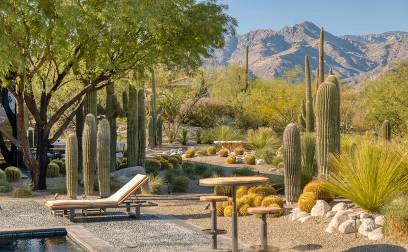 3978 N Canyon Ranch Drive , Tucson, AZ 85750, Tucson, Arizona, United States. - Photo 30