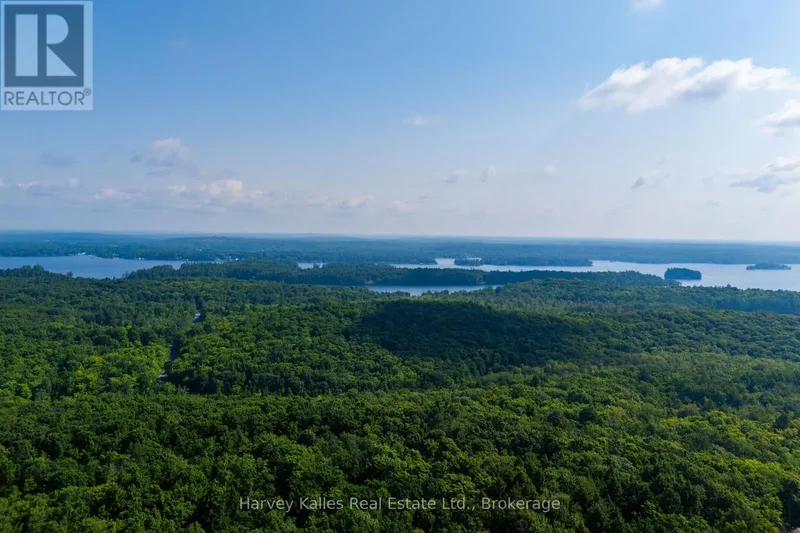 1254 Barlochan Road, Muskoka Lakes (Wood (Muskoka Lakes)), ON, P1P1R2, CANADA, Gravenhurst, Ontario, Canada. - Photo 29