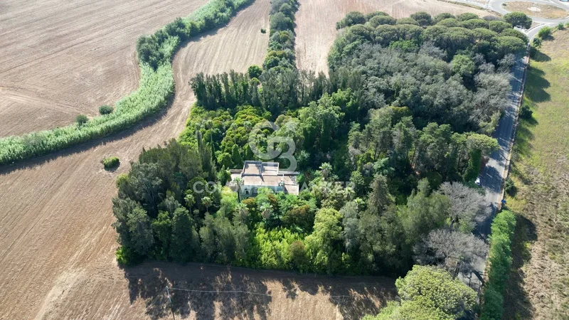 Masseria for sale in Cutrofiano