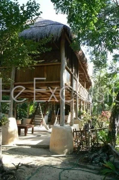 Gallery photo 11