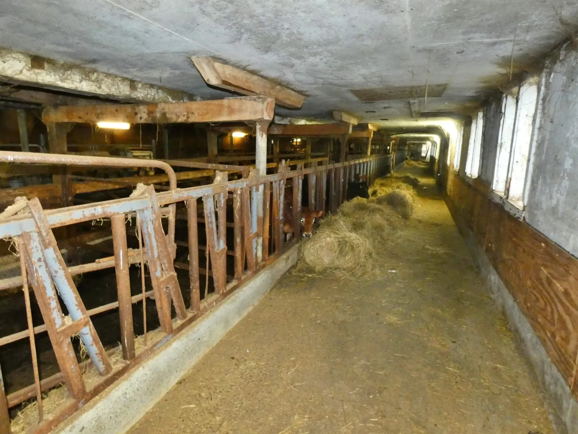 Gallery photo 11
