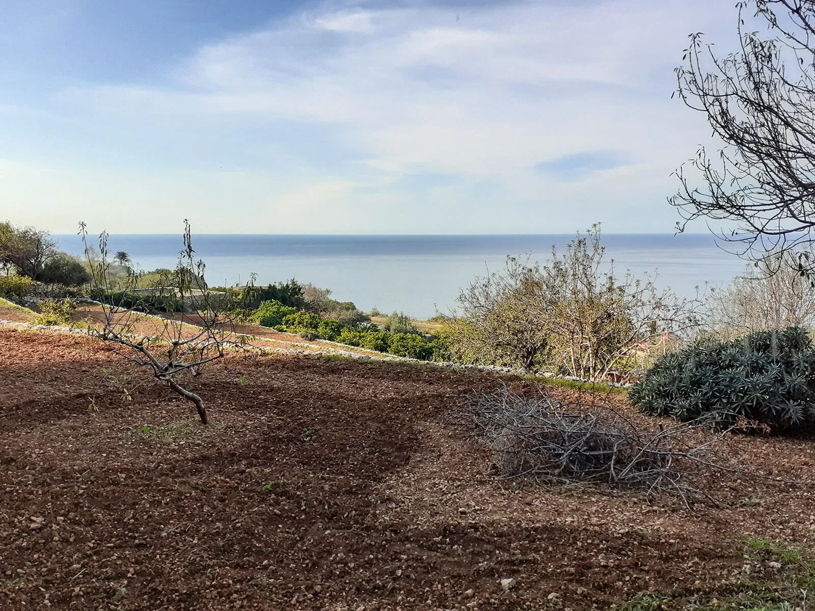 Banyalbufar, Mallorca, Banyalbufar, Banyalbufar, Balearic Islands, Spain. - Photo 10