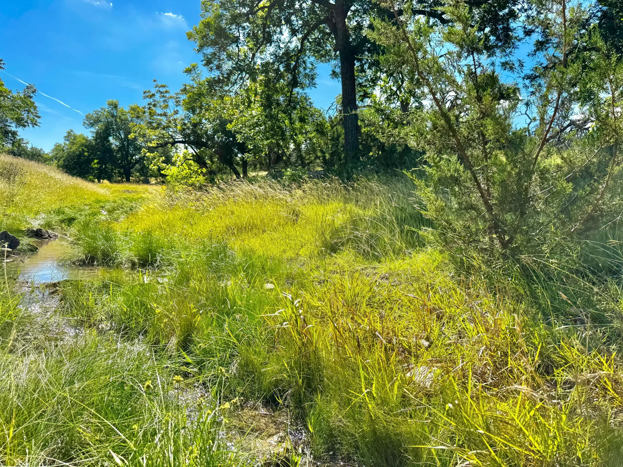 4369 Reeh-Weinheimer Road , Fredericksburg, TX 78624, Fredericksburg, Texas, United States. - Photo 17