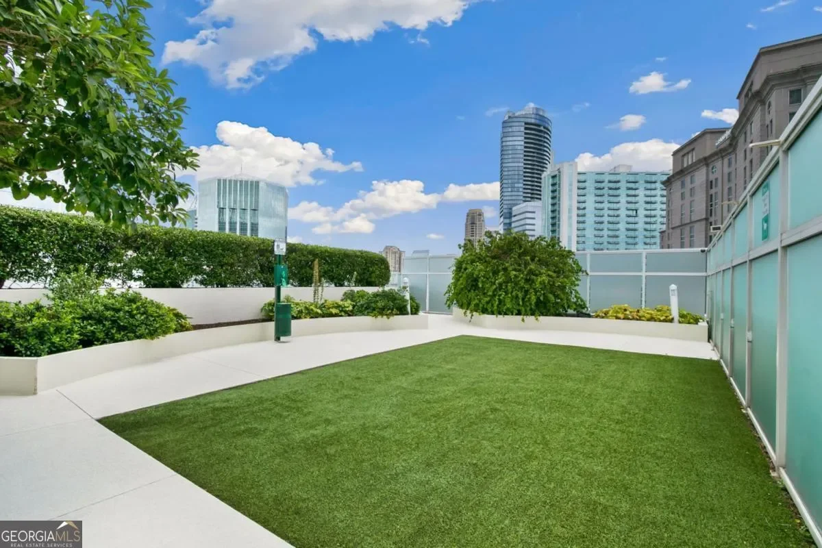 3325 Piedmont RD NE 1805, Atlanta, Georgia, United States. - Photo 15