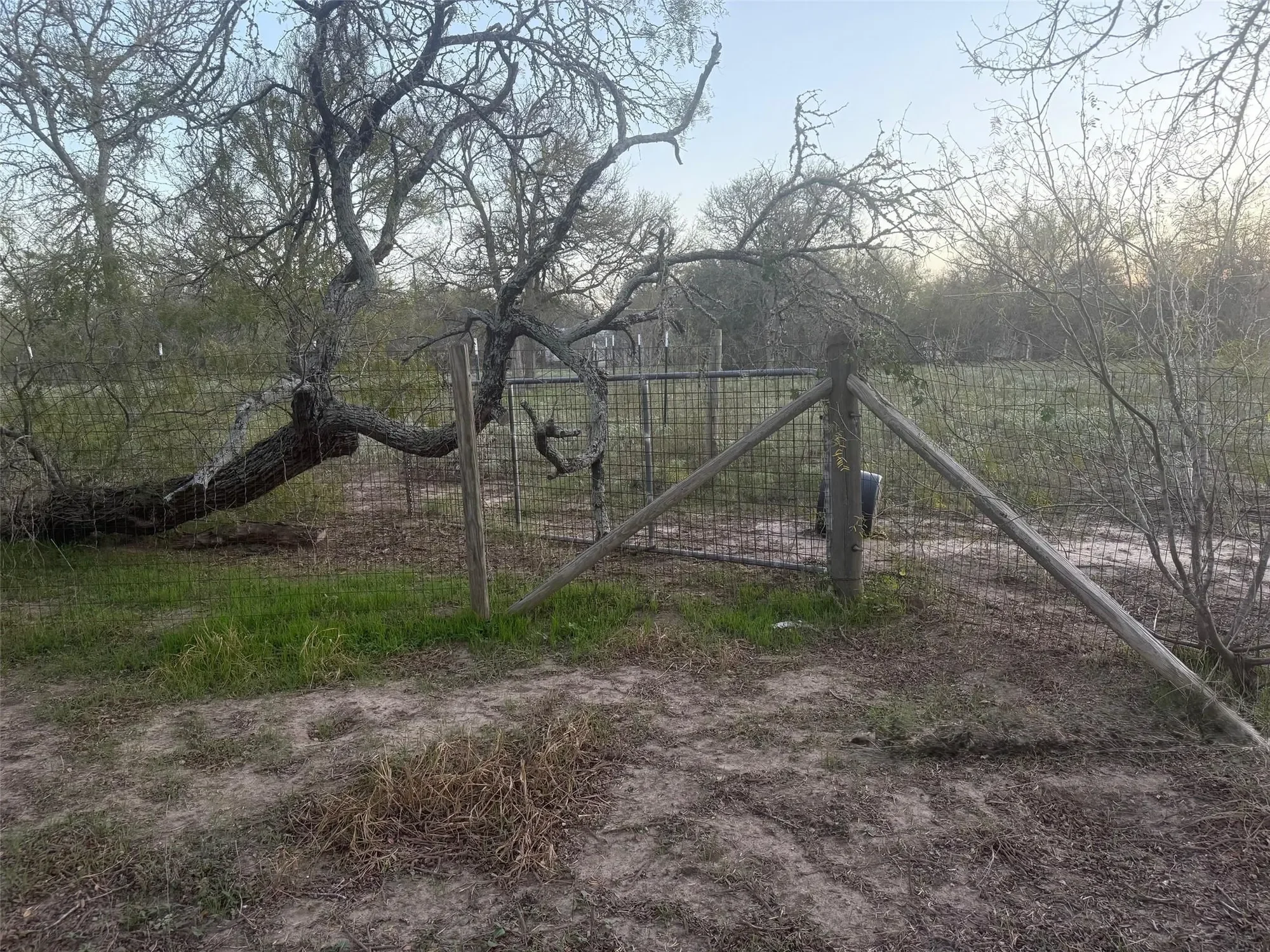 326 The Forest RD, Dale, Texas, United States. - Photo 34