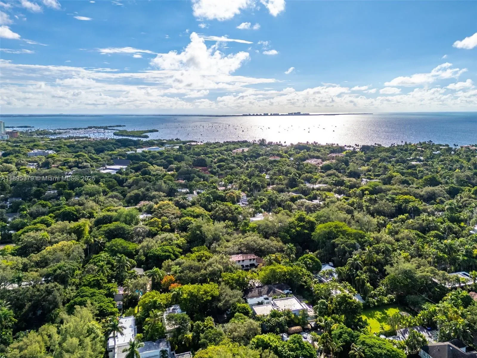 3610 Avocado Ave, Miami, Florida, United States. - Photo 33