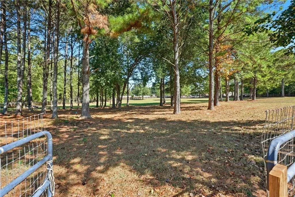100 Marshas Vineyard, Hampton, Georgia, United States. - Photo 52