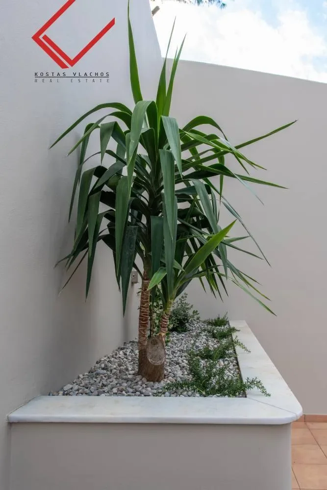 Gallery photo 12