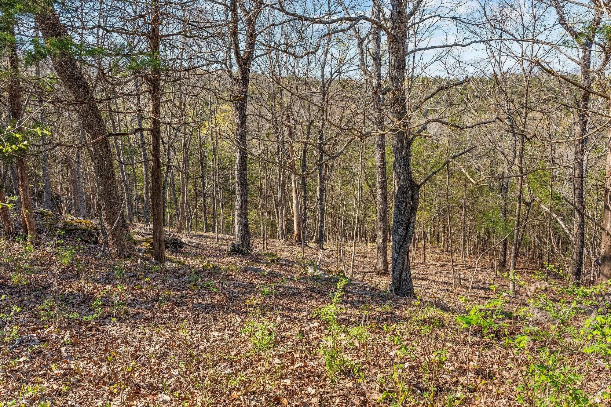 000 Tbd State Hwy J, Kirbyville, MO 65679, Kirbyville, Missouri, United States. - Photo 45